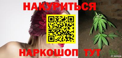 Альфа ПВП Краснознаменск